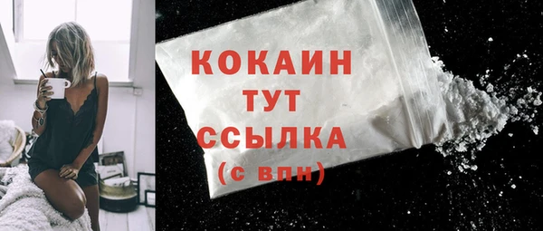 альфа пвп Новодвинск