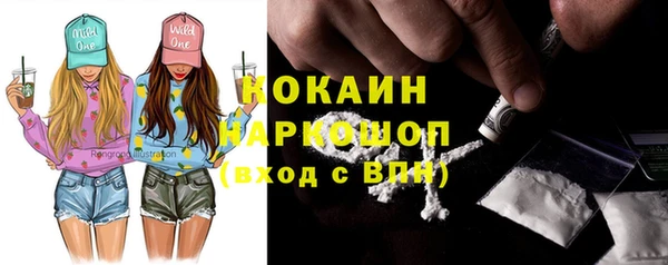 альфа пвп Новодвинск