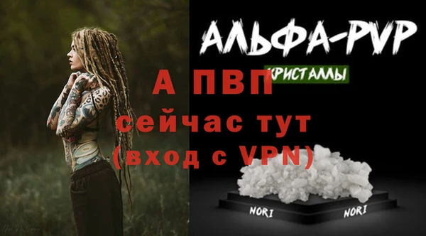 альфа пвп Новодвинск