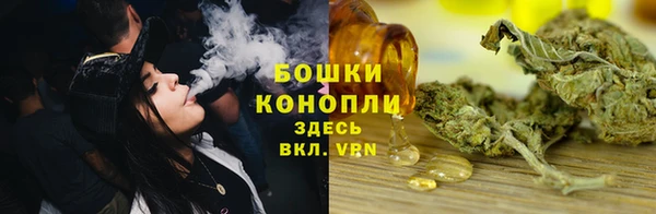 альфа пвп Новодвинск