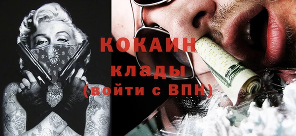 mdpv Новозыбков
