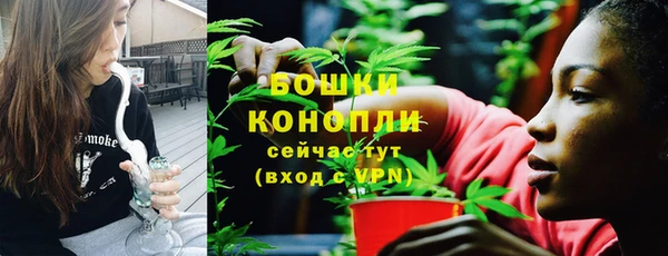 mdpv Новозыбков