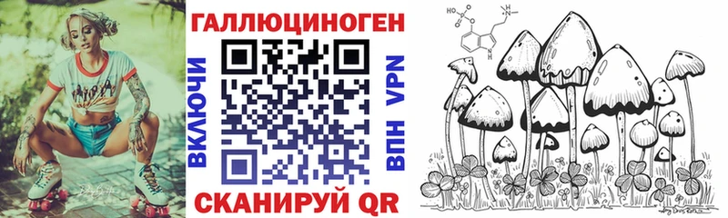 как найти закладки  Курск  Псилоцибиновые грибы мицелий 