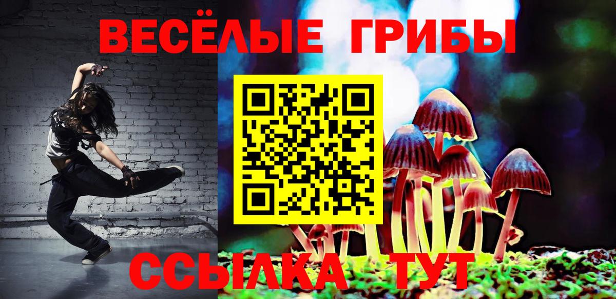 Псилоцибиновые грибы мицелий Курск
