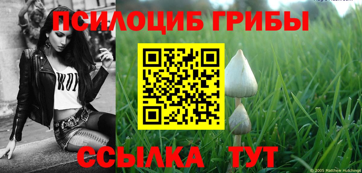 Псилоцибиновые грибы MAGIC MUSHROOMS  наркошоп  Курск  Вход с VPN 